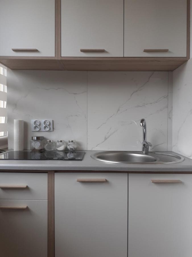 Apartamenty Centrum Pilsudskiego ビャウィストク エクステリア 写真